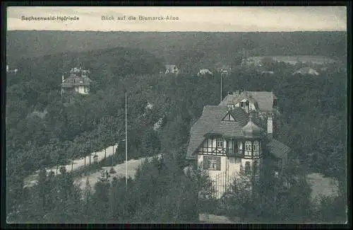 AK Sachsenwald Hofriede Aumühle Bismarck-Allee Villen 1914 Bahnpost gelaufen