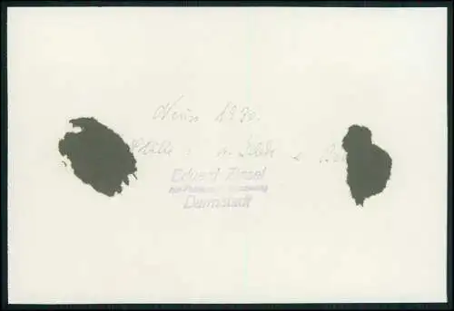 Foto 17×12 cm Neuss Rhein Pferdesport Spring Turnier mit Oberleutnant A. Betzel
