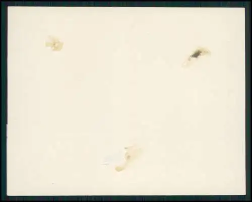 6x Foto Sommerfrische Strand Peenemünde Usedom bis Swinemünde o. Ostpreußen 1931