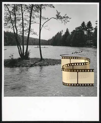 Foto Welzheim Partie am Ebnisee Badegäste Spaß mit Baumstamm um 1940