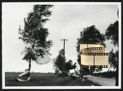 Foto deutsches Flugzeug Aircraft Bruch in Bäume verfangen Birkenallee abgestürzt