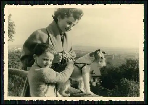 11x Foto Hund Foxterrier lebhafter mutiger Hund drahtiges Fell mit Familie