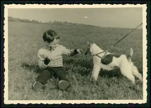 11x Foto Hund Foxterrier lebhafter mutiger Hund drahtiges Fell mit Familie