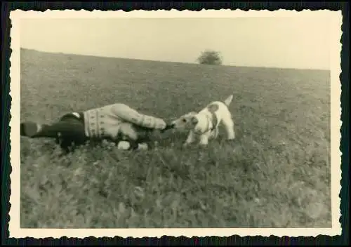 11x Foto Hund Foxterrier lebhafter mutiger Hund drahtiges Fell mit Familie