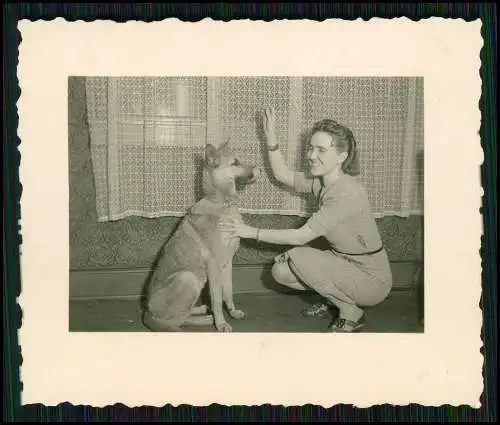 8x Foto Familie Erlebnisse Reise mit ihrem Schäferhund Wachhund 1938-41