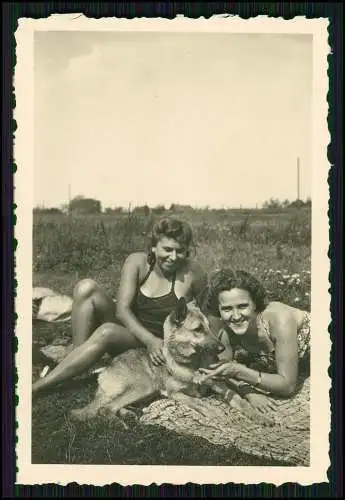 11x Foto Familie Erlebnisse Reise mit ihrem Schäferhund Wachhund 1938-41