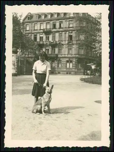 11x Foto Familie Erlebnisse Reise mit ihrem Schäferhund Wachhund 1938-41