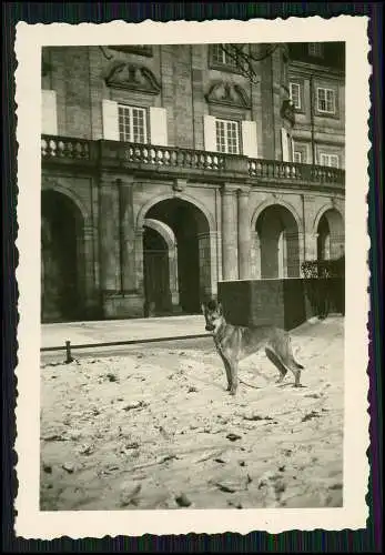 11x Foto Familie Erlebnisse Reise mit ihrem Schäferhund Wachhund 1938-41