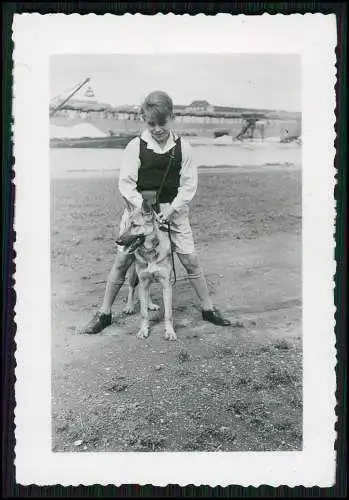 12x Foto Familie Erlebnisse Reise mit ihrem Schäferhund Wachhund 1938-41