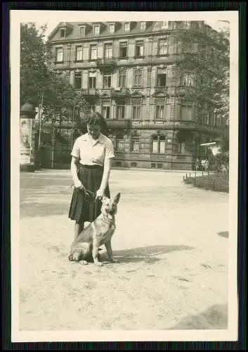 12x Foto Familie Erlebnisse Reise mit ihrem Schäferhund Wachhund 1938-41