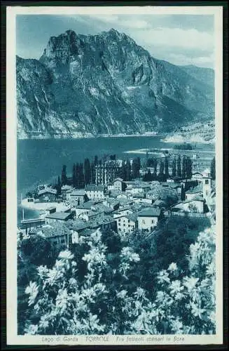 AK Lago di Garda, Gardasee Südtirol Italien Torbole Panorama