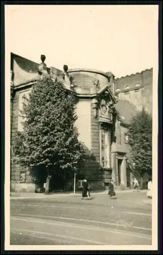 9x Foto Bielefeld alte Ansichten auch Tierpark um 1940