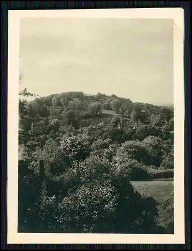 9x Foto Bielefeld alte Ansichten auch Tierpark um 1940