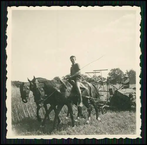 17x Foto Bauern Bauernhof Gut o.ä. Ernte Pferde Geräte Herzogtum Lauenburg 1939