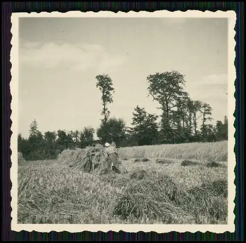 17x Foto Bauern Bauernhof Gut o.ä. Ernte Pferde Geräte Herzogtum Lauenburg 1939