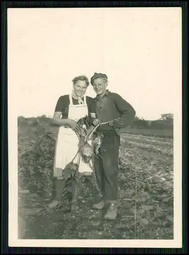 17x Foto Bauern Bauernhof Gut o.ä. Ernte Pferde Geräte Herzogtum Lauenburg 1939