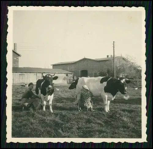 17x Foto Bauern Bauernhof Gut o.ä. Ernte Pferde Geräte Herzogtum Lauenburg 1939