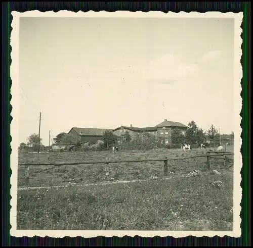 17x Foto Bauern Bauernhof Gut o.ä. Ernte Pferde Geräte Herzogtum Lauenburg 1939