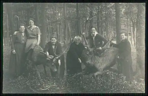 12xAK u. Foto bei Chemnitz Sachsen 1915 Denkmal o.ä. Hirsche im Wald