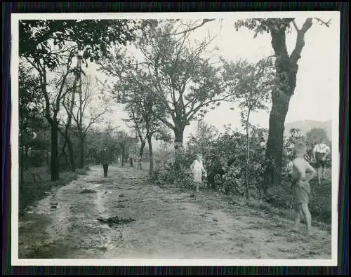 8x Foto Soldaten Wehrmacht Musikkorps u.a. Motive in Wehlen an der Elbe Sachsen