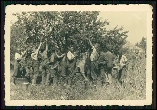 7x Foto Soldaten Wehrmacht Vormarsch Frankreich Belgien Gefangene uvm.