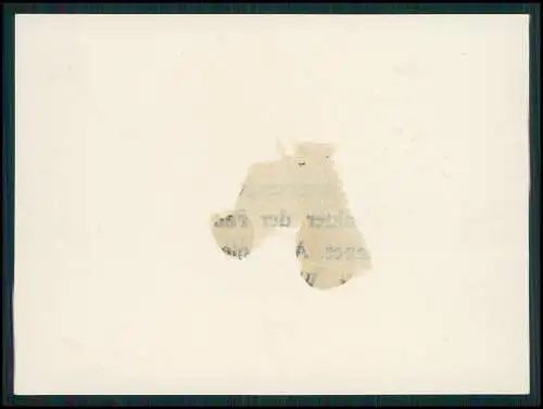 11x Foto Frankfurt am Main Hanau Personen Adel Monarchie Gruppen uvm. ab 1922