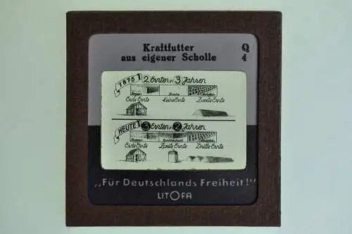 Orig. Dia Litofa 5x5 cm Kraftfutter aus eigener Scholle