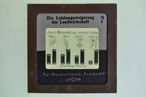 Orig. Dia Litofa 5x5 cm Die Leistungssteigerung der Landwirtschaft 1874–1938