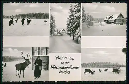 3x Foto AK Bad Harzburg am Harz, Marienteichbaude, Wildfütterung, Hirsche uvm.