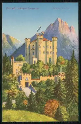 6x Original alte Foto AK -Schwangau Schloss Neuschwanstein historische Ansichten