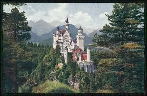 6x Original alte Foto AK -Schwangau Schloss Neuschwanstein historische Ansichten