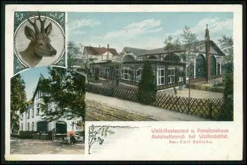 AK Wolfenbüttel, Waldrestaurant und Pensionshaus Antoinettenruh, 1905 gelaufen