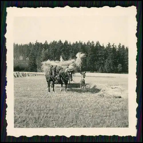 4x Foto Cunnersdorf Gohrisch Sachsen Erzgebirge 1942 Bauernhof Feldarbeit Pferde