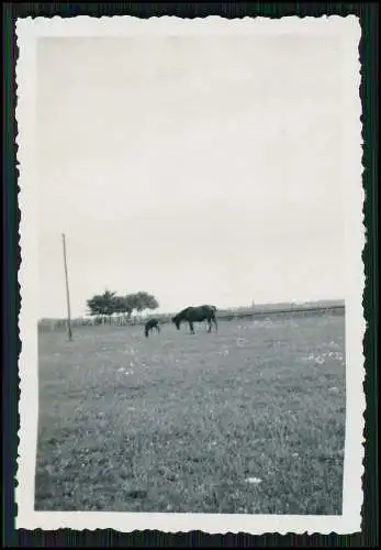 14x Foto Bautzen in Sachsen Oberlausitz uvm. Reise Wandern in der Umgebung 1938