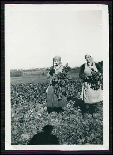 9x Foto Planitz Zwickau Oberplanitz Niederplanitz 1943 Damen in Arbeitskleidung