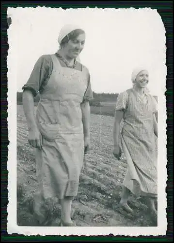 9x Foto Planitz Zwickau Oberplanitz Niederplanitz 1943 Damen in Arbeitskleidung