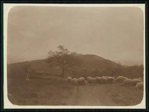 6x Foto Bergkirchen Kirchdorf der Stadt Bad Oeynhausen Westfalen Ansichten 1925