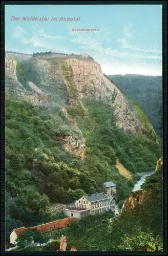 AK Thale im Harz, Bodetal, Hotel Waldkater, Hexentanzplatz, Hirschgrund 1910