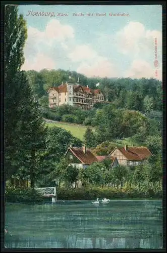 AK Ilsenburg Harz, Hotel Waldhöhe, Teich Schwäne und Umgebung 1910 gelaufen