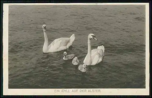 3x AK Hamburg Uhlenhorst Uhlenhorster Fährhaus Segelboote Alster 1913 gelaufen