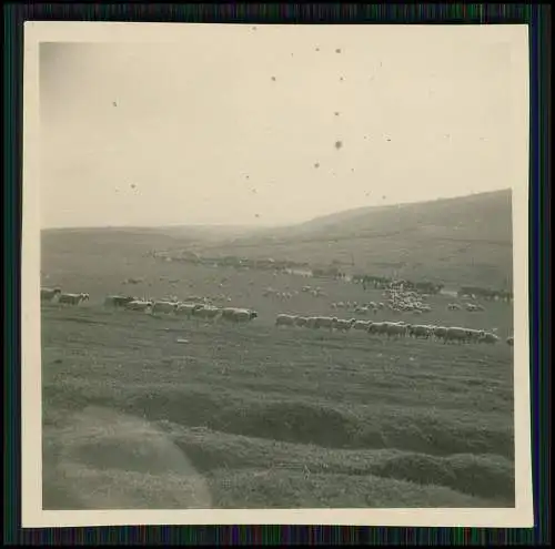 12x Foto Soldaten der Wehrmacht Ehrenmal Kriegerdenkmal Balkan Vormarsch 1941-43