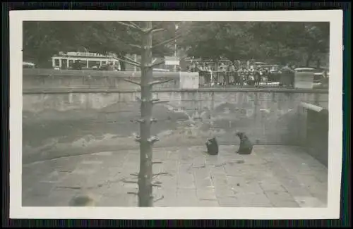 18x Foto Reise Deutschland Schweiz uvm. viele Erlebnisse Ansichten 1930