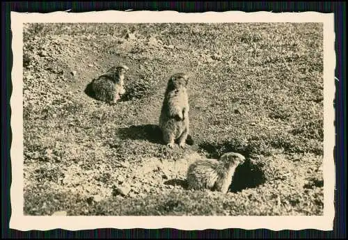 17x Foto Bayern Allgäu Dörfer Panorama Gasthof Pensionen Hotel Berge uvm.1936-43