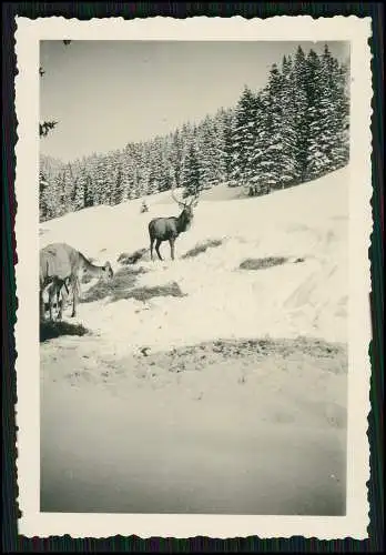 23x Foto Reise Süddeutschland Bayern Allgäu Gasthaus Pension Berge uvm 1936-43