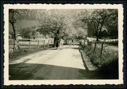 23x Foto Bayern Allgäu Dörfer Panorama Pension Gasthaus Berge uvm. 1936-43