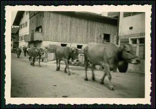 22x Foto Bayern Allgäu Dörfer Gasthaus Hotel Pension Wandern uvm. 1936-43