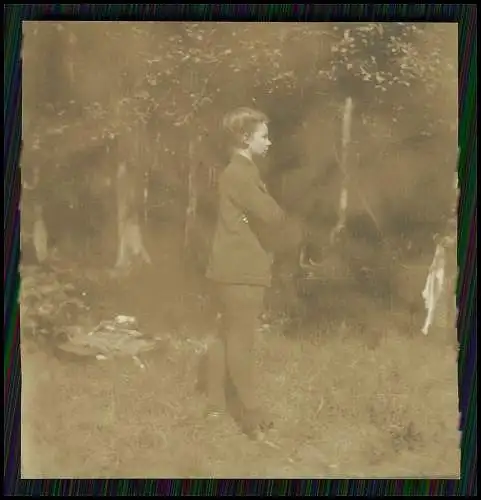 20x alte Fotos bei Bornhofen am Rhein, Burg Sterrenberg, Liebenstein uvm um 1930