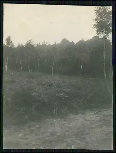 20x alte Fotos bei Bornhofen am Rhein, Burg Sterrenberg, Liebenstein uvm um 1930
