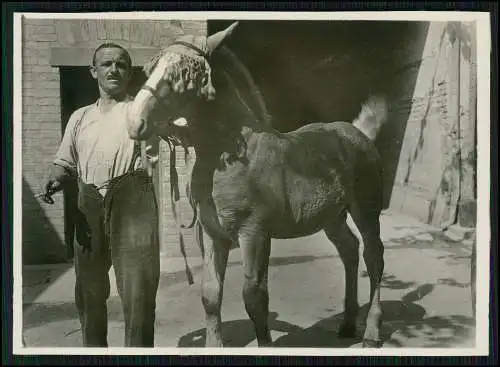 10x alte Foto Soldaten Bauernhof mit Pferde uvm. 1940-45