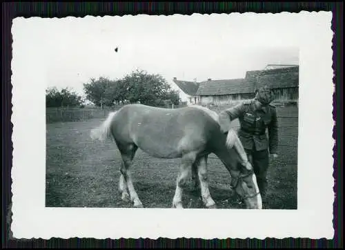 22x Foto Bauernhof Südliche Weinstraße Rheinland-Pfalz Pferde u.a. Tiere 1935-45